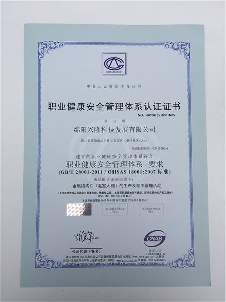 職業(yè)健康安全管理體系認(rèn)證證書(shū)